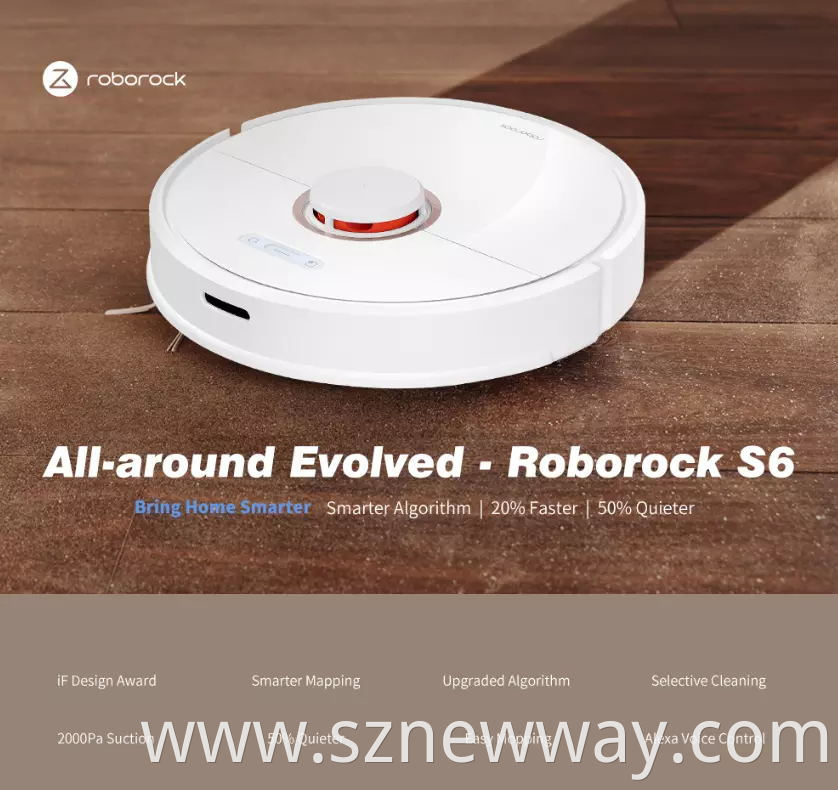 Roborock S6